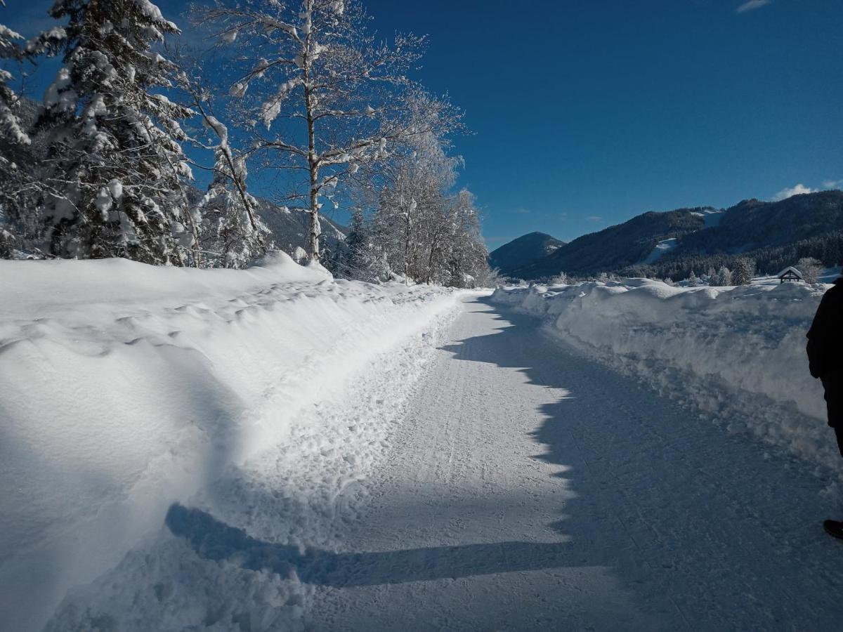 Landhaus Vogel Lejlighed Weissensee Eksteriør billede