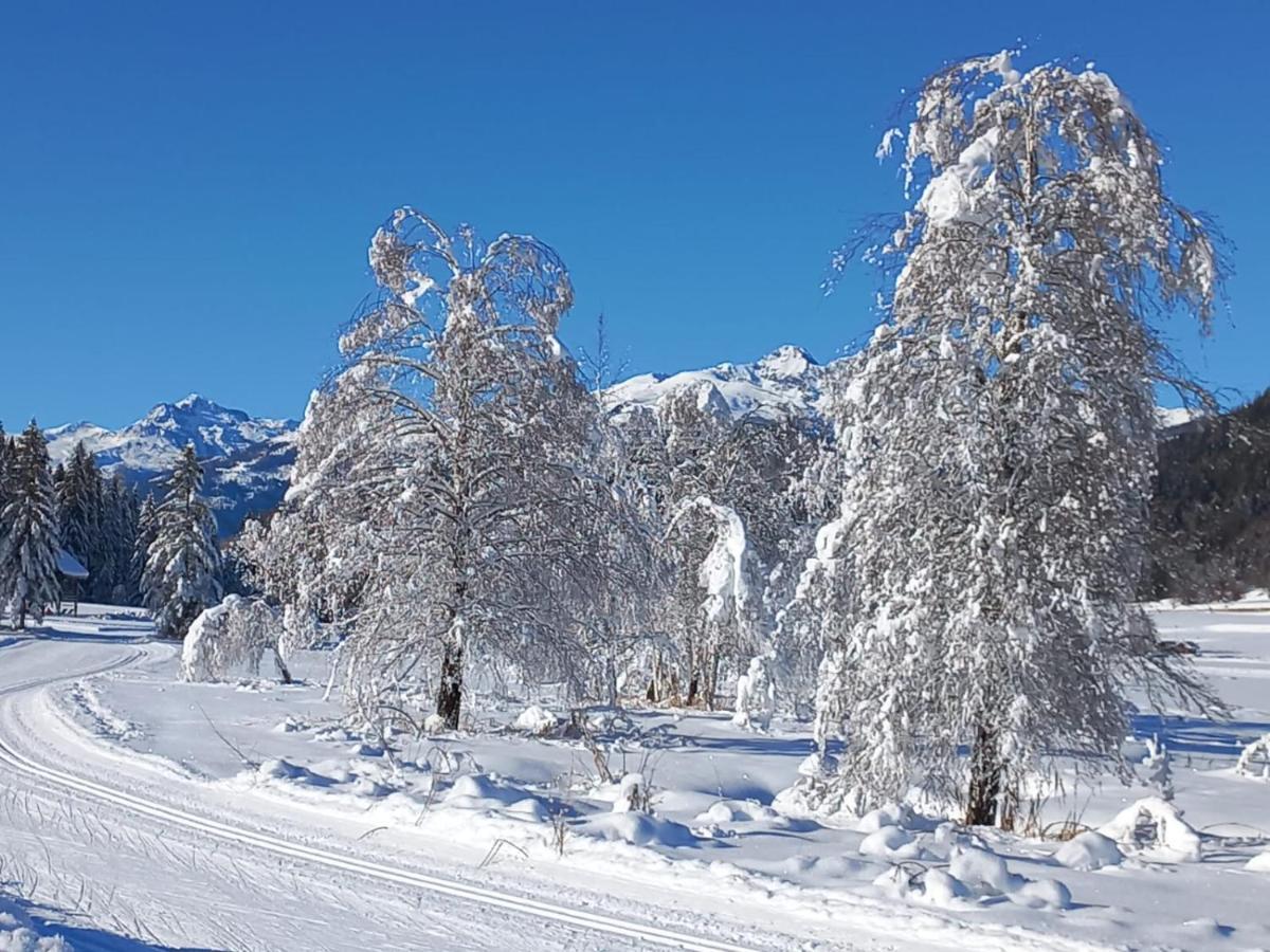 Landhaus Vogel Lejlighed Weissensee Eksteriør billede