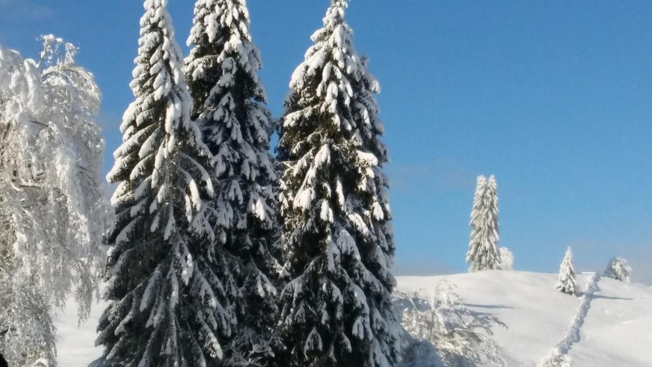 Landhaus Vogel Lejlighed Weissensee Eksteriør billede