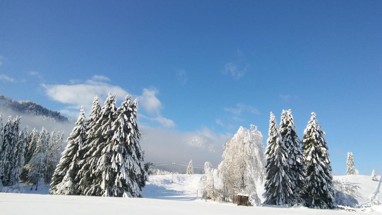 Landhaus Vogel Lejlighed Weissensee Eksteriør billede