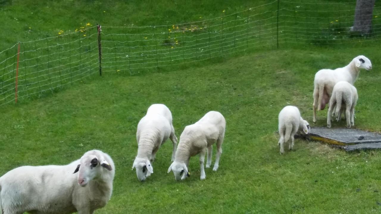 Landhaus Vogel Lejlighed Weissensee Eksteriør billede